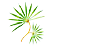 株式会社 MEDS JAPAN